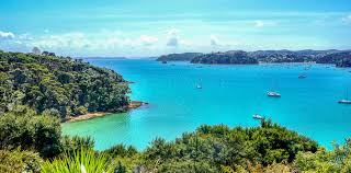 There's plenty of places to visit on new zealand's north island, which contain all of the above. The 10 Best Places To Visit In New Zealand This Year