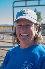 COLUMN: Lisa Perry talks Black Mountain burros, the ranch where she works