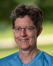 High Energy Particle Physics