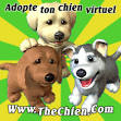Dogzer: Jeu de chien pour adopter un chien virtuel