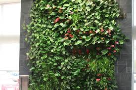 We work with developers, architects, contractors and interiorscapers to design, install, and maintain our living wall systems. Indoor Living Walls Livewall Vertical Plant Wall System