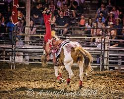 Pin On Trick Riding