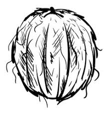 Landscape pencil drawing step by step | coconut trees drawing in pencil | pencil sketch i am showing how to draw landscape using pencils.art materials:cartri. Coconut Pencil Drawing Vector Images 94