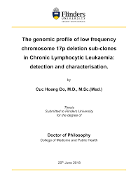 The genomic profile of low frequency chromosome 17p deletion sub-clones in  Chronic Lymphocytic Leukaemia: detection and characte
