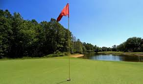 On the street of woodward avenue and street number is 30211. Golf Course Rules Will Clubhouses Be Open At Golf Clubs Golf Sport Express Co Uk
