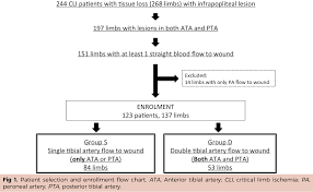 Figure 1 From Clinical Effects Of Single Or Double Tibial