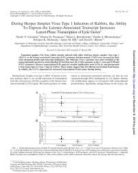 Cbt (computer based training) and ces 5 (crew evaluation system). Restricted Expression Of Herpes Simplex Virus Lytic Genes During Establishment Of Latent Infection By Thymidine Kinase Negative Mutant Viruses