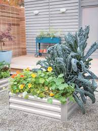 It's not a bad decision to buy attractive raised beds. Metal Garden Beds Corrugated Metal Garden Beds