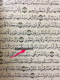 اطول كلمة باللغة العربية بنات كيوت