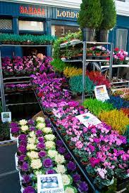 Columbia Road Flower Market Columbia Road Flower Market Flower Market Flower Farmer