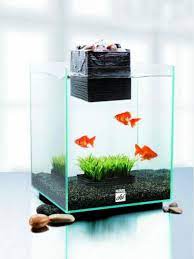 Home Small Aquarium Ideas Creative Aquarium Aquarium Design Fish Tank Terrarium