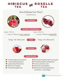 Hibiscus Tea Vs Roselle Tea Infographic Roselle Tea Tea Infographic Hibiscus Tea Benefits
