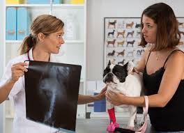 She is happy to shake hands when the cage door if closed. How To Find Low Cost Vets Petmd