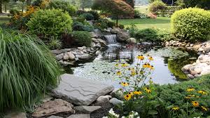 Tracks in release kopfhorer minimal musik # trackname / key / bpm / publish date artists, remixers / label; Gartenteich Stinshoff Garten Und Landschaftsbau