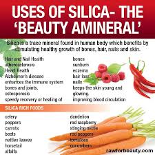 The silica must first be present in the. Pin By Crystal Kornmeyer On Diy Health Wellness Health Health And Nutrition Health And Wellbeing