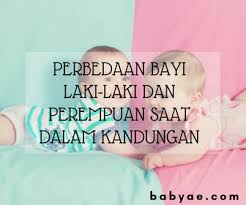 Bentuk perut ini disebabkan oleh posisi bayi namun pada ibu yang hamil anak perempuan, bisa saja kondisi kulit lebih berminyak dan muncul lebih banyak jerawat. 9 Perbedaan Bayi Laki Laki Dan Perempuan Saat Dalam Kandungan Baby Ae