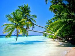 Thanks for your visiting cartoon images, dont forget to subscribe to get another info. Animation Beach Moving Background 1024x768 Download Hd Wallpaper Wallpapertip