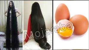 اقسم بالله العظيم بيضه واحده فقط واحصلى على شعر طويل وناعم كالحرير