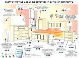 At What Temperature Kills Bed Bugs Effi360 Com Co