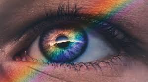 We did not find results for: Color Blindness How To Design An Accessible User Interface By Ivan Tuchkov Ux Collective