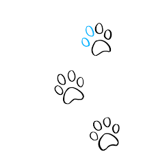 How To Draw Cat Paw Prints Really Easy Drawing Tutorial Just like dog paws vary in size and shape, this drawing can be altered to any size. how to draw cat paw prints really
