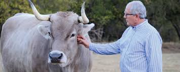 Destined for Significance: USDA honors Stein for dedication to students