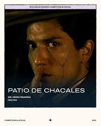 La #CompetenciaOficial Sección de Género llega al #FICG40 con historias de  suspenso, horror y hechos sobrenaturales que te hacen saltar del asiento.👻  Todo lo que el cine puede ser cuando se atreve