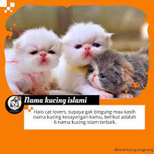 Selain meningkatkan perasaan sayang, tentu sajanama tersebut akan. Insipransi Untuk Nama Nama Kucing Hotel Kucing Tangerang Facebook