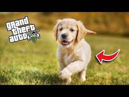 Furkan Yaman Gta 5 Youtube 2020 Grand Theft Auto Gercekler Hayat