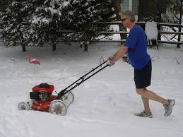As A Canadian In Denial That Winter Is Already Here Imgur
