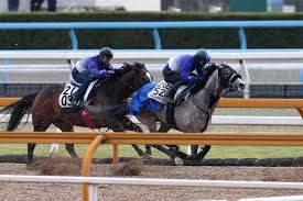 Manage your video collection and share your thoughts. é˜ªç¥žå¤§è³žå…¸ ãƒ¡ã‚¤ã‚·ãƒ§ã‚¦ãƒ†ãƒ³ã‚²ãƒ³ ä¸Šã€…2é¦¬èº«å…ˆç€ æ¾å±± ã—ã£ã‹ã‚Šã¨å‹•ã'ã¦ã„ã¾ã—ãŸ ã‚¹ãƒãƒ‹ãƒ Sponichi Annex ã‚®ãƒ£ãƒ³ãƒ–ãƒ«