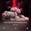 With an experimental sound and an unlimited amount of members, nct has a little something for every taste on cherry bomb. 1