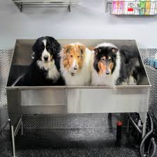 Pets have a special place in here at pet grooming xpert, we provide only the most dependable and competent professional. Stainless Steel Dog Grooming Sink Ridalco Stainless Steel Ridalco