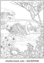 Cute baby swan coloring pages. Swan Coloring Page Images Stock Photos Vectors Shutterstock