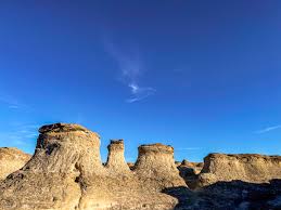 Image result for Struthiola montana