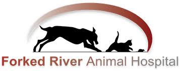The vet and staff were very friendly and the place was calm and clean. Veterinarian In Lanoka Harbor High Quality Vet Clinic Affordable Local