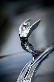 We did not find results for: Photograph 1936 Desoto Airstream Hood Ornament By Jill Reger Affiliate Aff Ad Desoto Jill Reger Air Hood Ornaments Car Hood Ornaments Ornaments