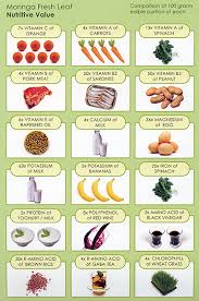 Moringas Nutrient Value Vs Other Foods Moringa Benefits