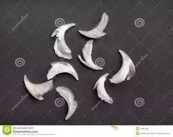 This is an entirely normal and healthy process and is nothing to worry about. What Should You Do When A Cat S Old Layer Of Claw Splits But Is Stuck To The Quick Area Quora