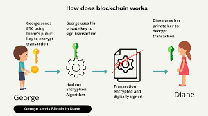The input sufficiently describes where and how to get the bitcoin amount to be redeemed. Deep Insight Into Cryptocurrency And Blockchain Alt 5 Pro