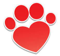 In addition to his veterinary degree, dr. All Pets Vet Hospital Home Facebook