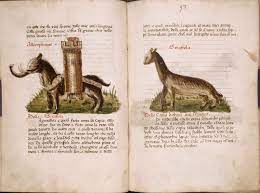 Maybe you would like to learn more about one of these? Pin On Old Animal Drawings