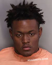 WILLIAMS RAESHAWN LEVERN 02/11/2022