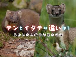 農機具ランド あぐり家