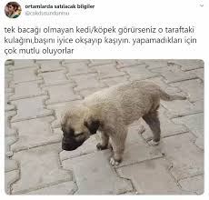 Lutfen Onlara Zarar Vermeyin Yardim Etmiyosaniz Bile Yardim Edenlere Karismayin Onlar Icin Cocuklarin Yaptigi Yuvalari Cop 2020 Hayvan Sozleri Hayvan Haklari Hayvan