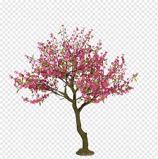 Pink Leafed Tree Cherry Blossom Tree Drawing Peach Cartoon Hand Painted Cherry Trees Buckle Free Material Watercolor Painting Painted Simple Png Pngwing My videos are showing how to paint flowers, nature. pink leafed tree cherry blossom tree