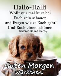 See more of guten morgen bilder on facebook. Pin Von Yvonne2901 Auf Greetings Grusse Guten Morgen Gruss Guten Morgen Lustig Guten Morgen Wunsche