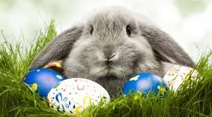 Vedle toho jsou velikonoce obdobím lidových tradic spojených s vítáním jara, které s náboženským svátkem souvisejí jen volně. Proc Se Vlastne Slavi Velikonoce Chrudimka Cz