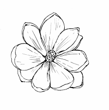 Pin By Celeste Knittle On Dibujos Flower Outline Tattoo Tattoo Outline Drawing Small Flower Drawings