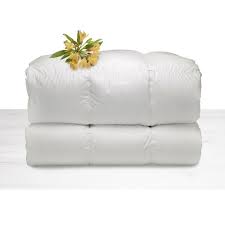 Piumino 4 stagioni in vera piuma 90/10. Daunenstep Piumino D Oca Quattro Stagioni Matrimoniale Maxi 250x220 Cm D200 90 Piumino 10 Piumetta